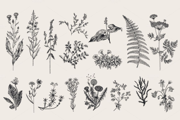 Наклейки полевые травы