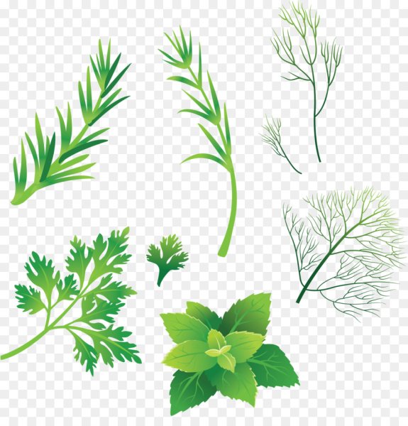 Трава рисунок