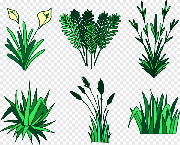 Рисование травы