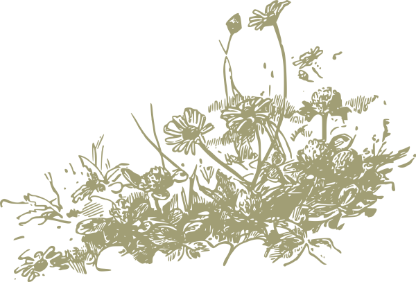 Луговые травы Графика