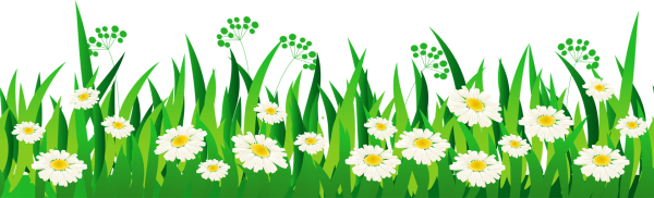 Ромашки мультяшные