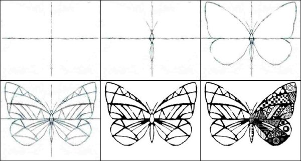 Симметричные фигуры