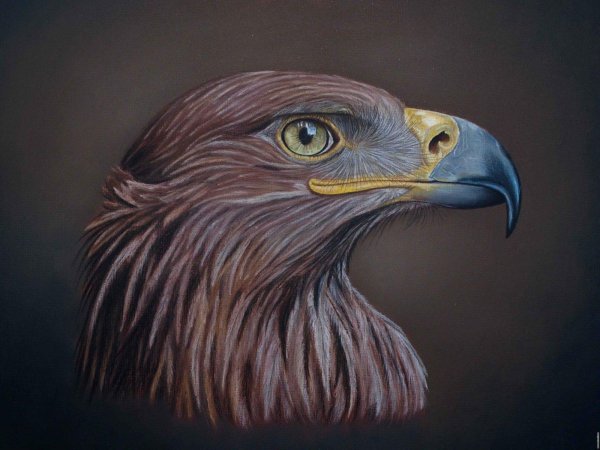 Стилизованная голова орла