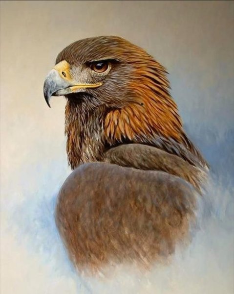 Белый Орел на черном фоне