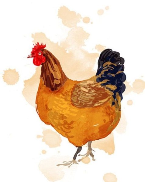 Курица гуашь