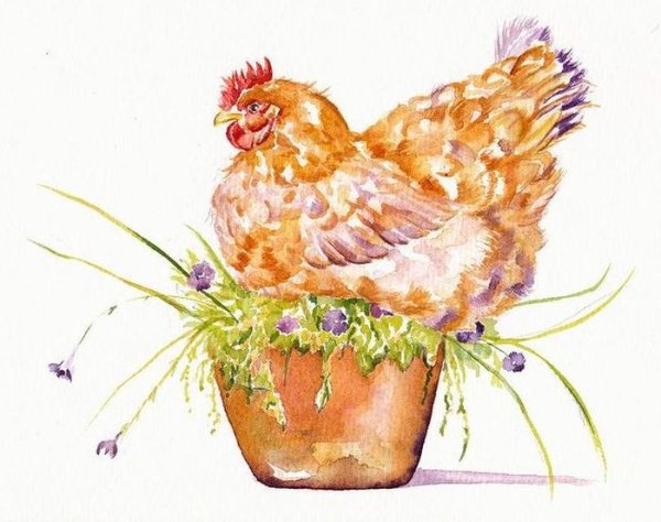 Курочка Ряба акварель