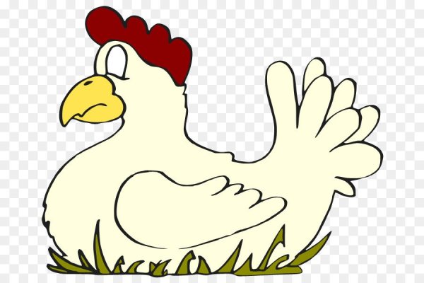 Курица Несушка вектор