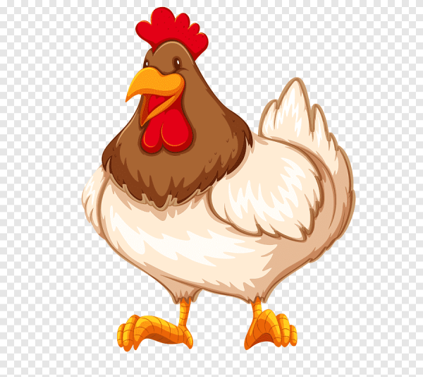 Курица для детей