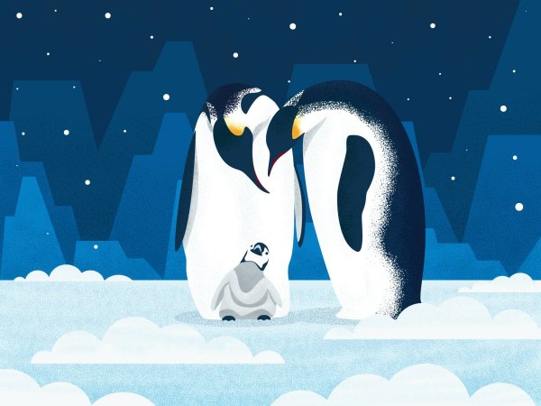 Пингвин смех