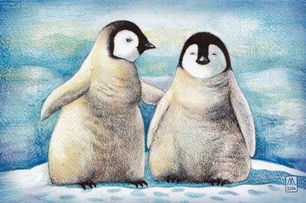 Пингвин Картун