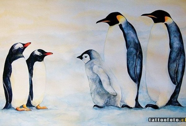 Пингвин в шарфе