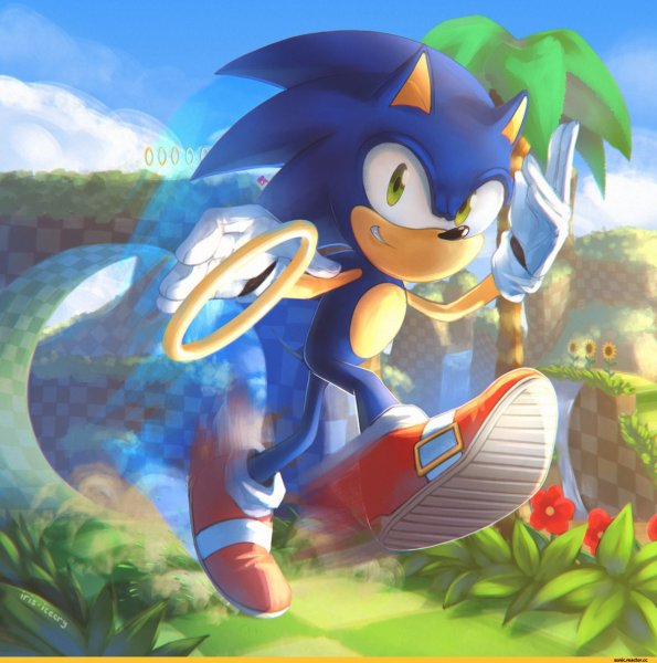 Sonic референс