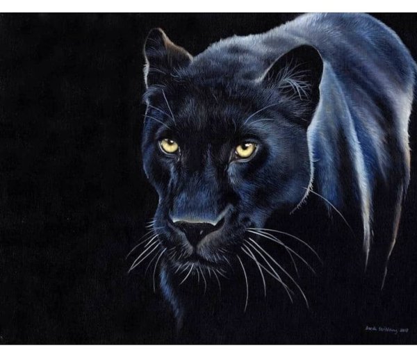 Пантера картина