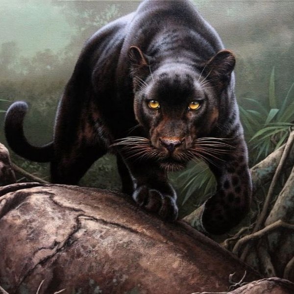 Пантера красками