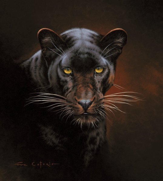 Грациозная пантера