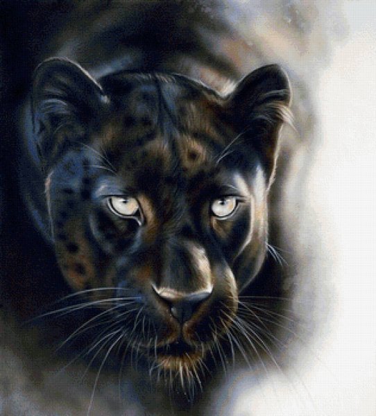 Реалистичные рисунки животных