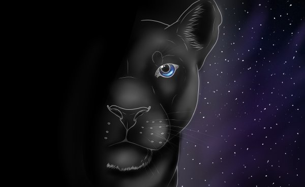 Рисовать пантеру