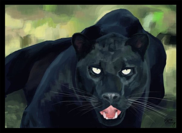 Пантера картина