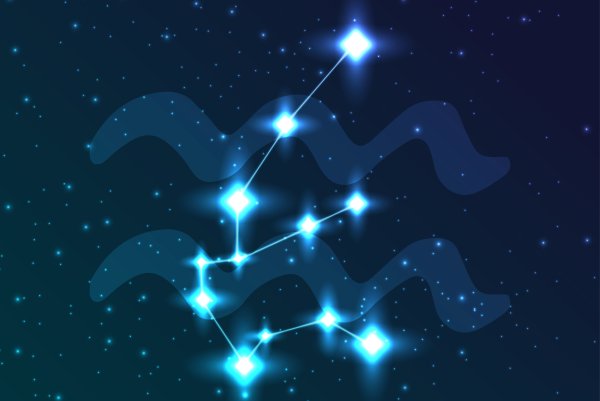 Созвездия в виде животных