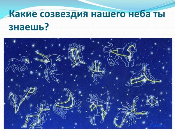 Звездный зоопарк зодиакальные созвездия