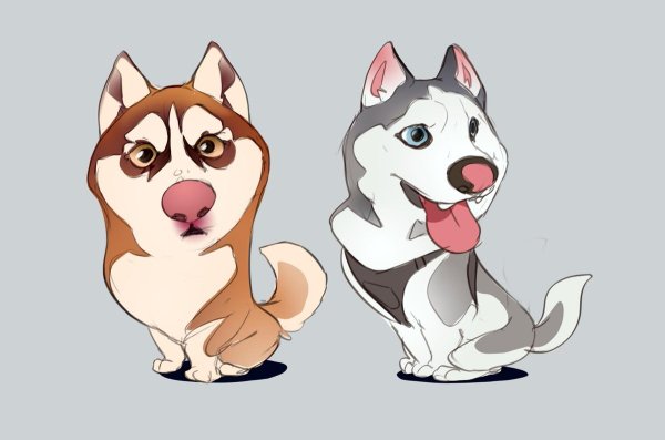 Хаски цветными карандашами