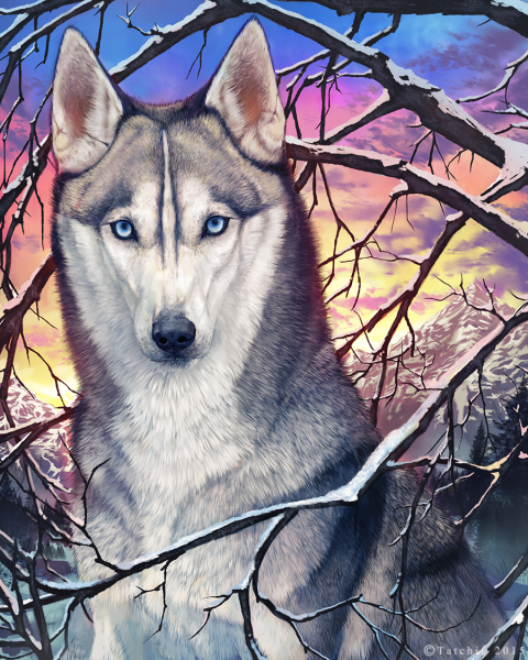 Собака для срисовки карандашом