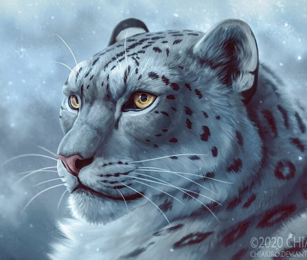 Ирбис снежный Барс арт