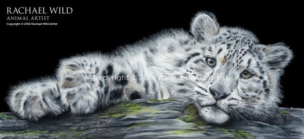 Ирбис черно белое изображение