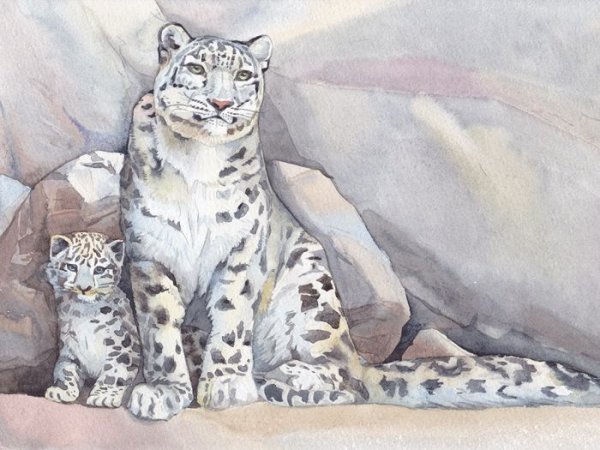 Художник Акимова снежный Барс