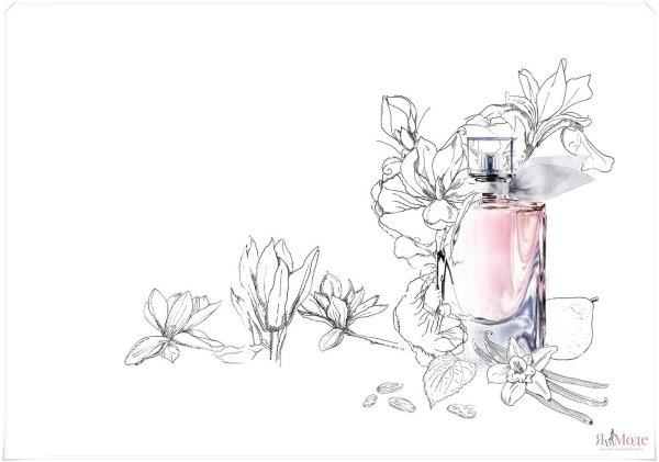 Флакон духов акварелью