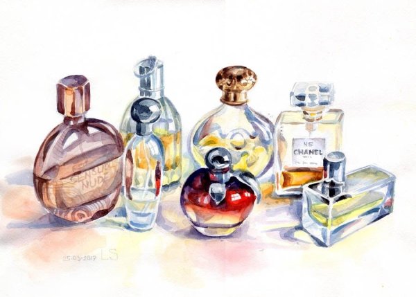 Флакон духов рисунок