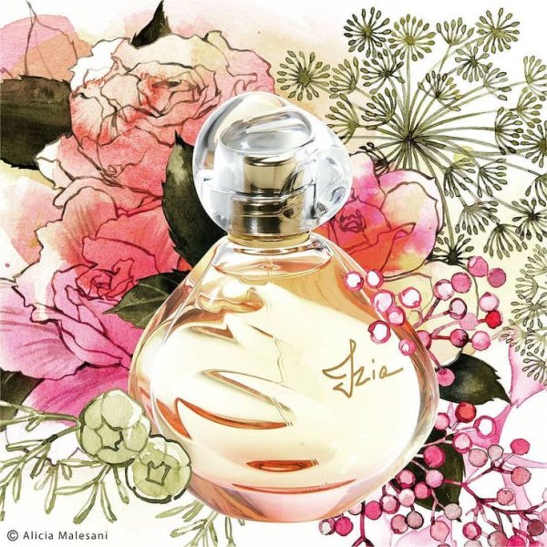 Духи зарисовка