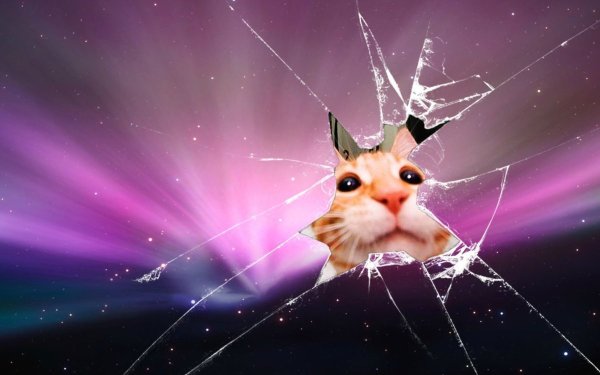 Заставка на экран блокировки андроид