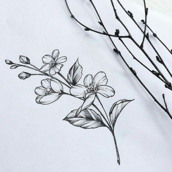 Веточка эскиз