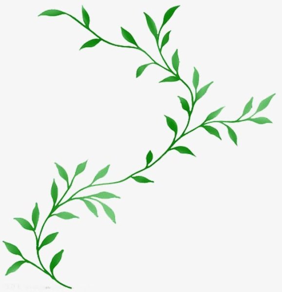 Зеленая ветка