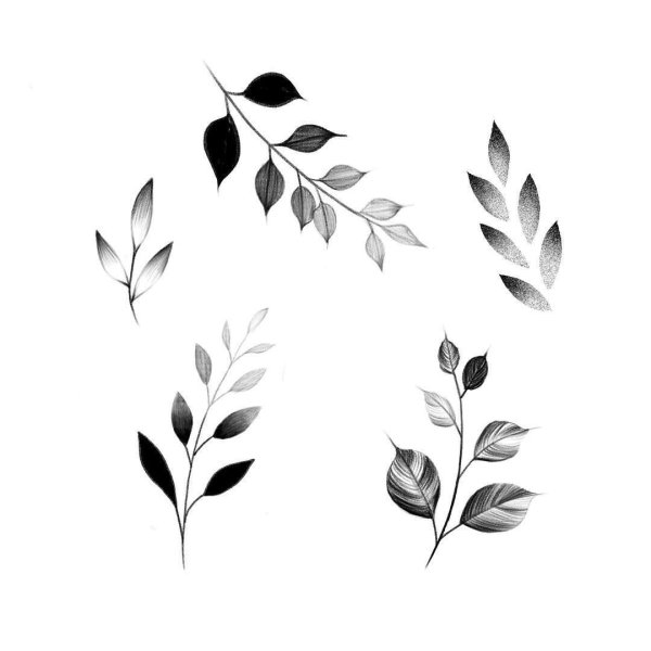 Листья эскиз