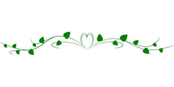 Красивые веточки для оформления