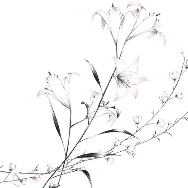 Ветка на белом фоне