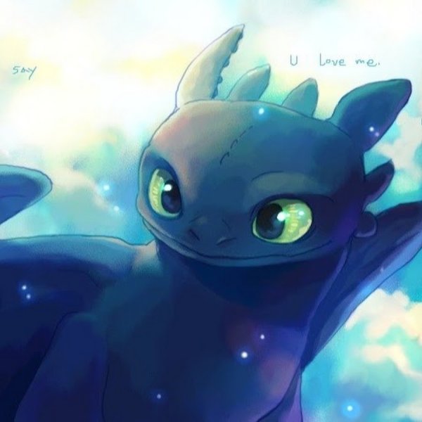 Ночная фурия и ночная фурия