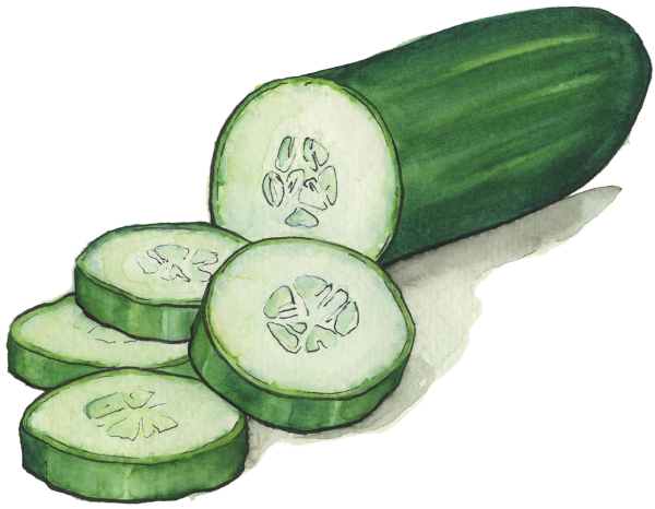 Нарисовать огурец