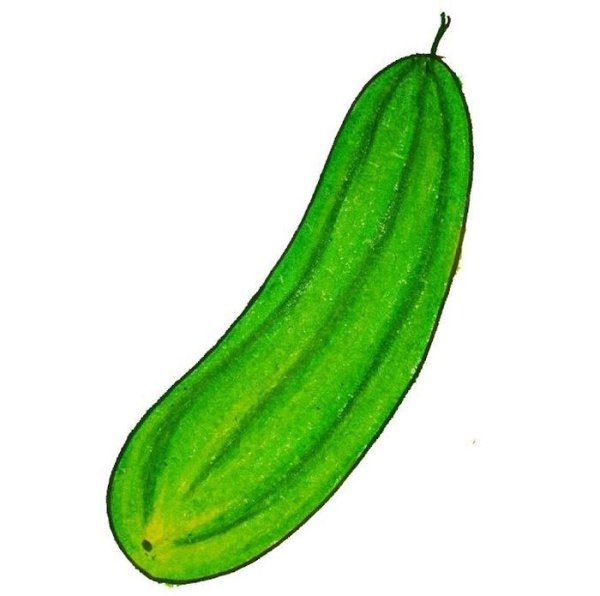 Нарисовать огурец