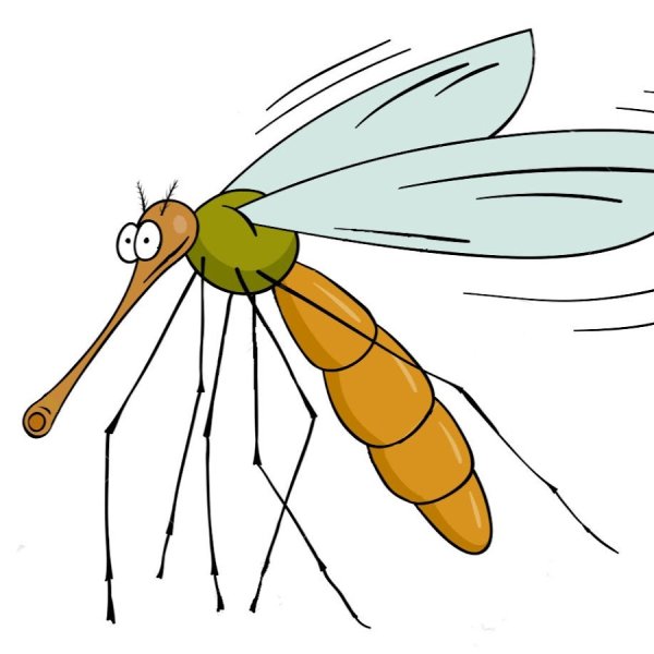 Комар нарисованный на белом фоне