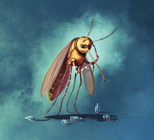 Смешной комар