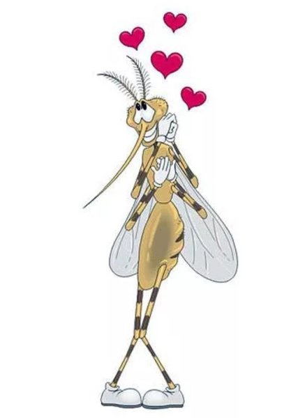 Влюбленный комар