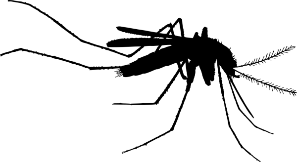 Комар силуэт