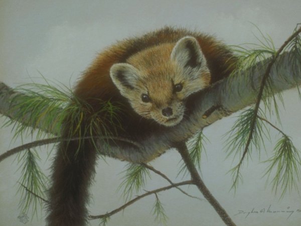 Куница акварелью