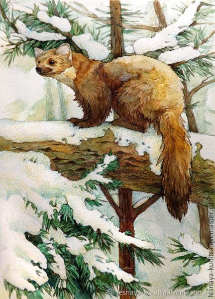 Лесные звери и птицы