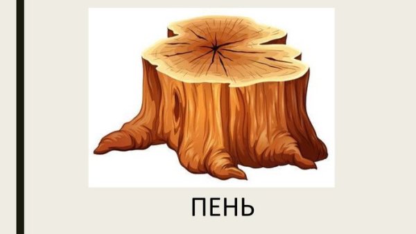 Пень и пеньки с мягким знаком
