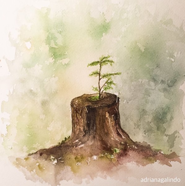 Пень карандашом