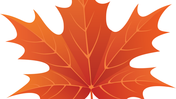 Кленовый лист рисунок без фона